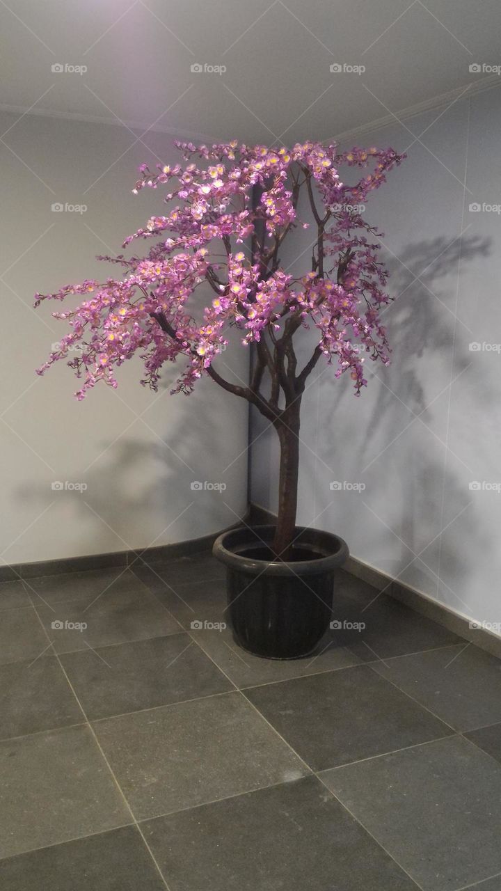 home decoration, decoration in the house, pelastik trees, dead trees, decorative trees in the house