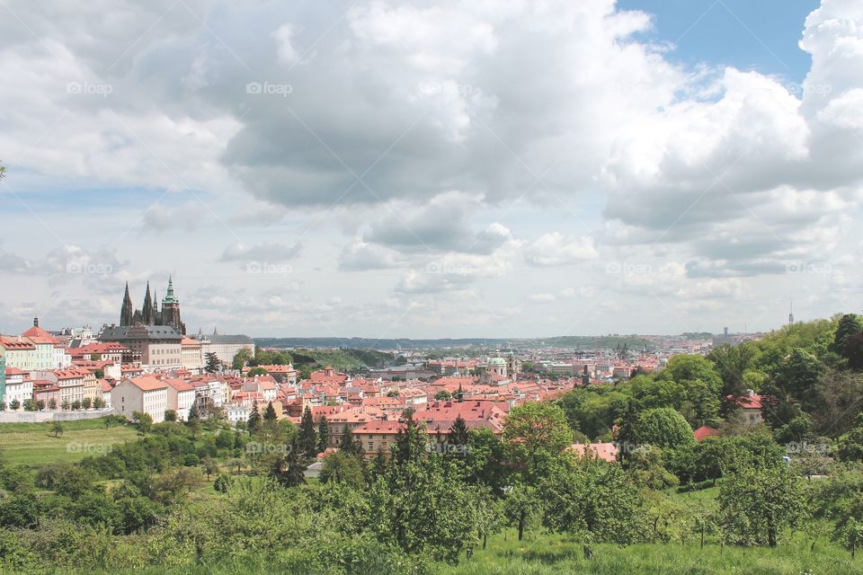 view of the city and skyline