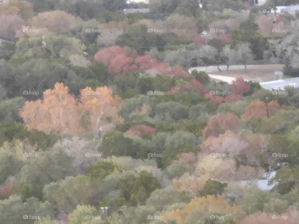 fall colors in Wimberley, Texas