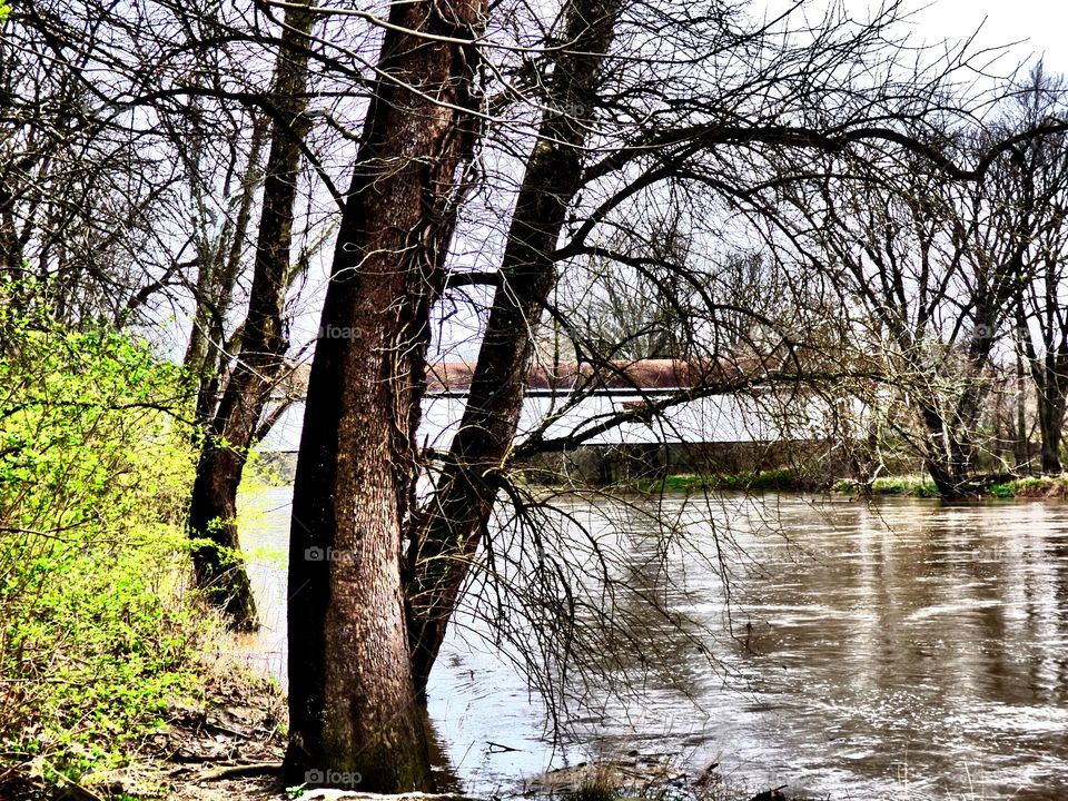 Old covered bridge on a rainy spring day. 