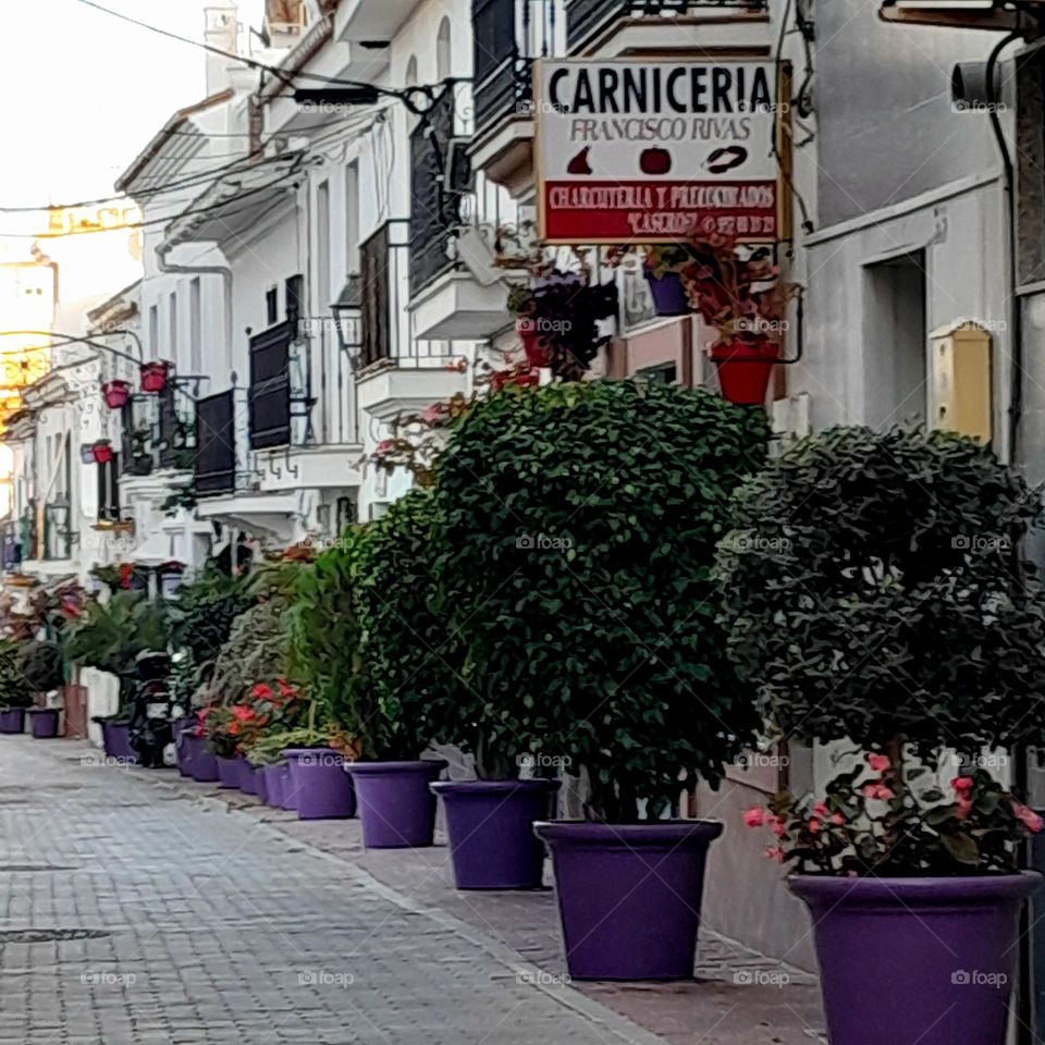 Estepona