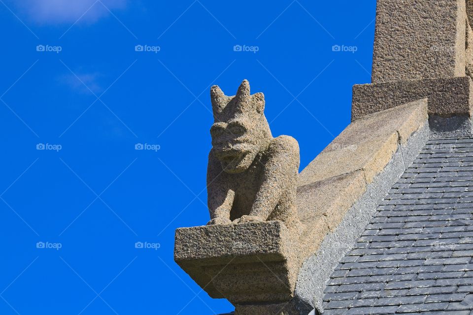 roof of the old house