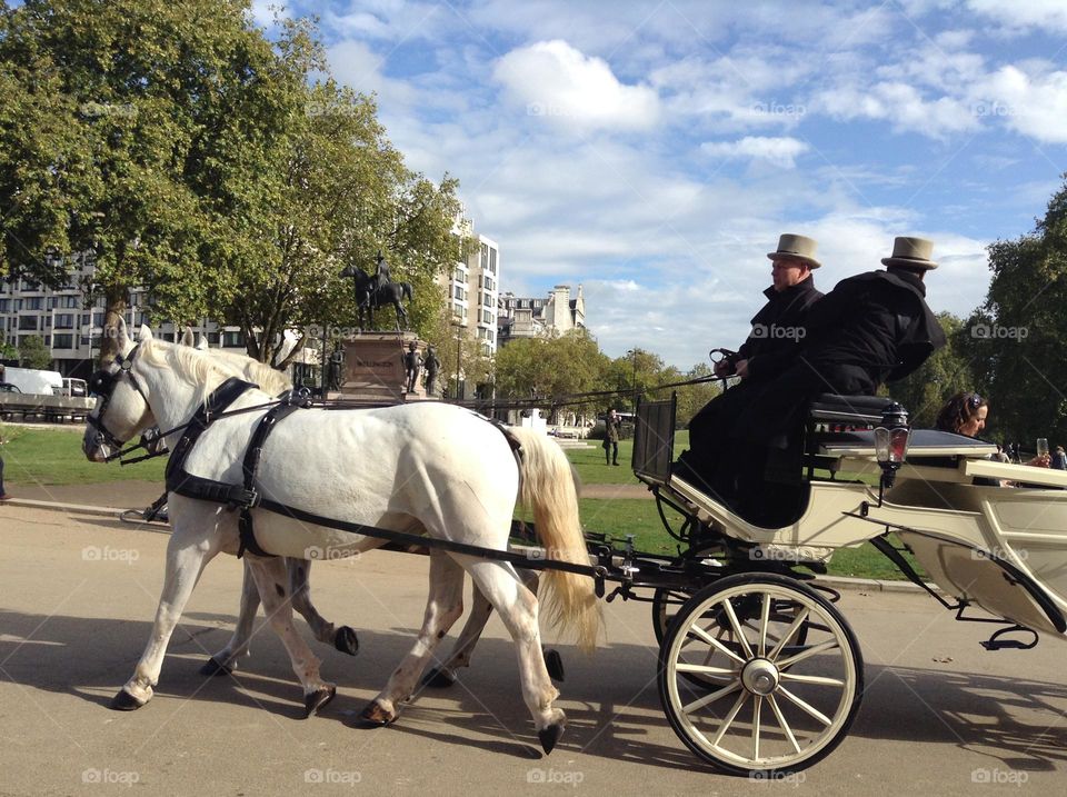 Beautiful day at Hyde park, London 