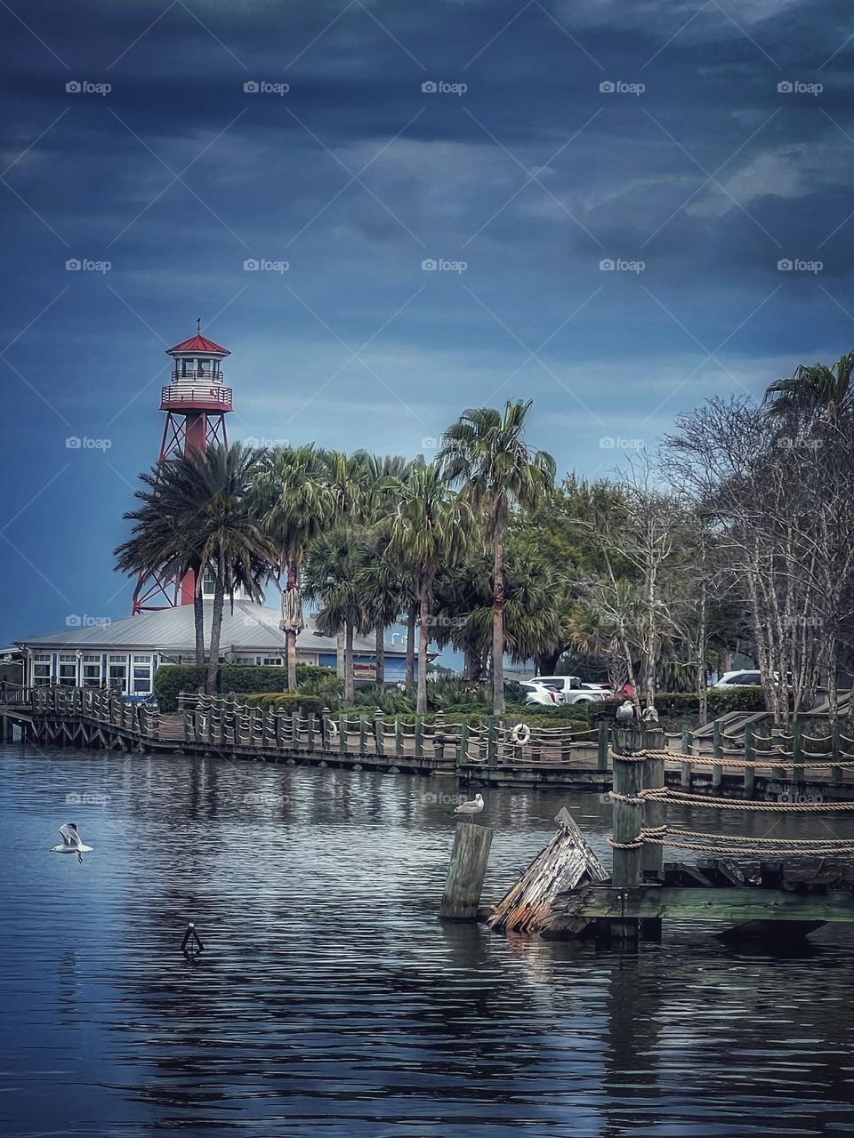 Water Tower behind the trees across the pier 