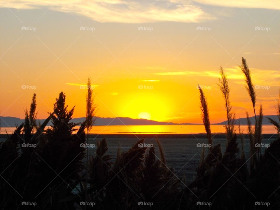 Let the Vacation Begin!