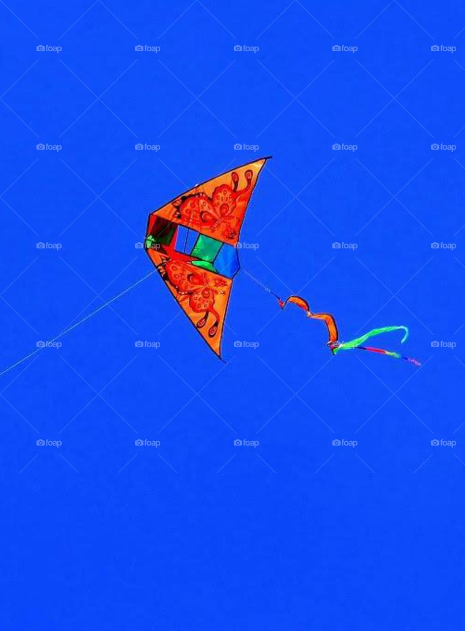 kite