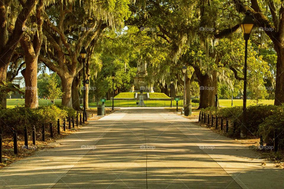 Empty footpath in park