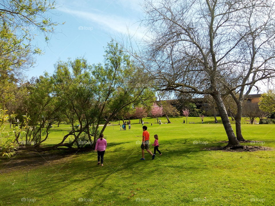 outdoor gathering in the park
