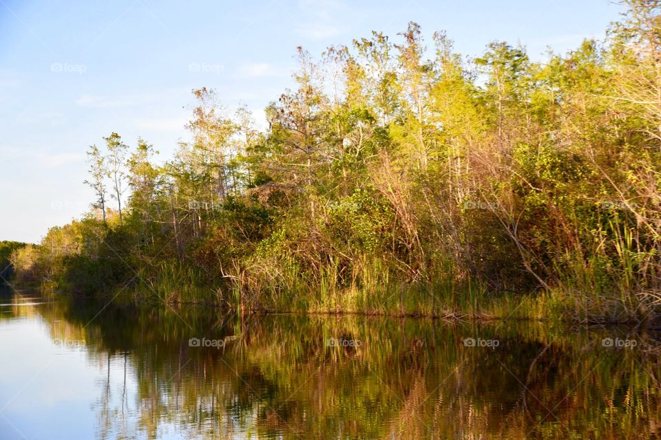  Reflections on the Water