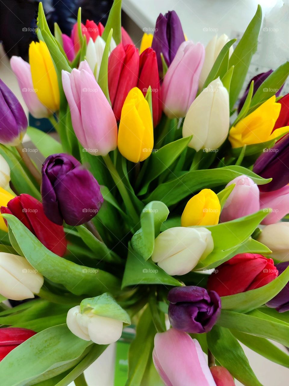 bouquet of colorful tulips