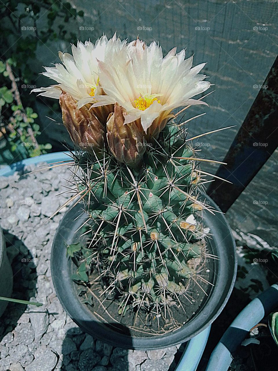 Beautiful nature !!!