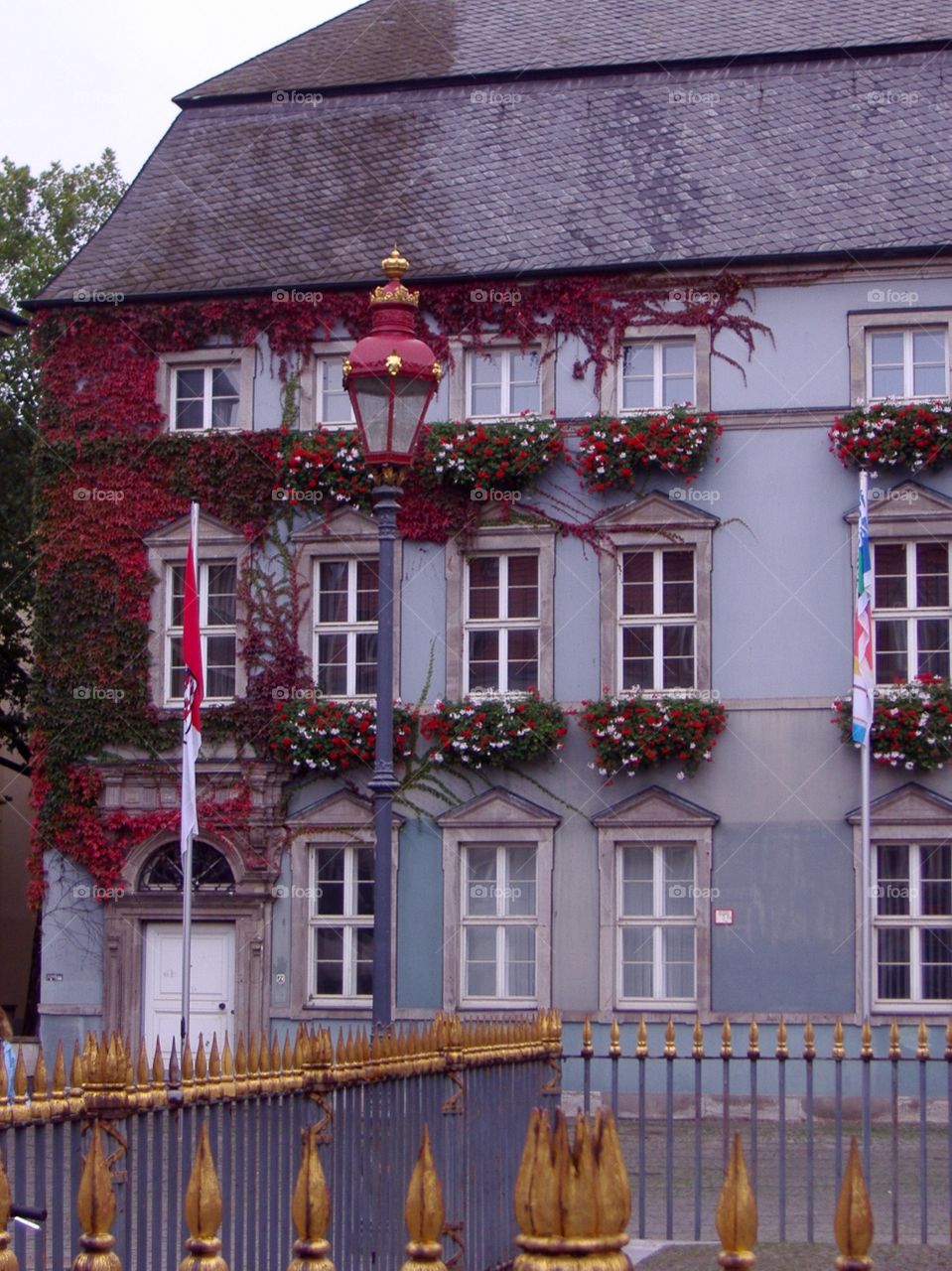 A blue building covered with green and red ivy