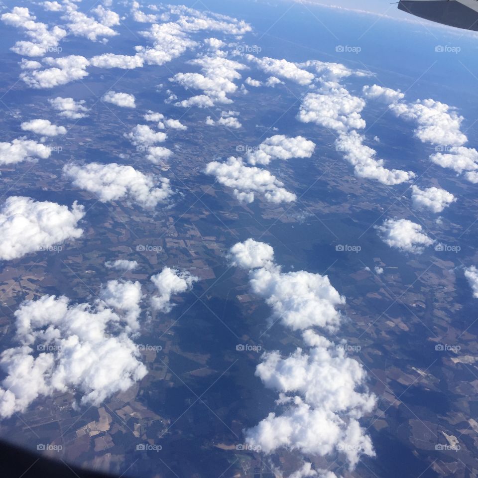 Clouds or cotton 