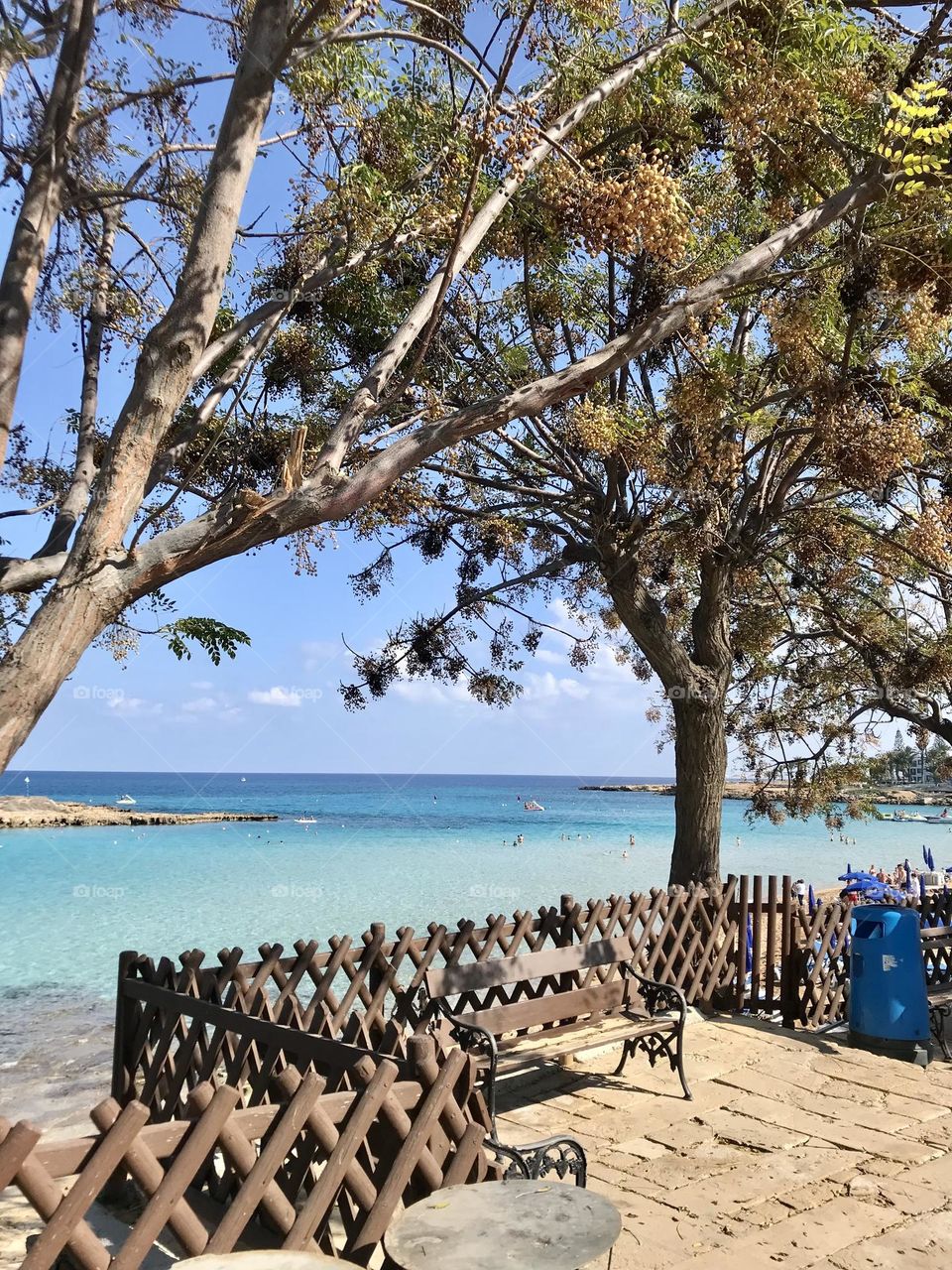 The water in Cyprus is perfectly warm for late October👌