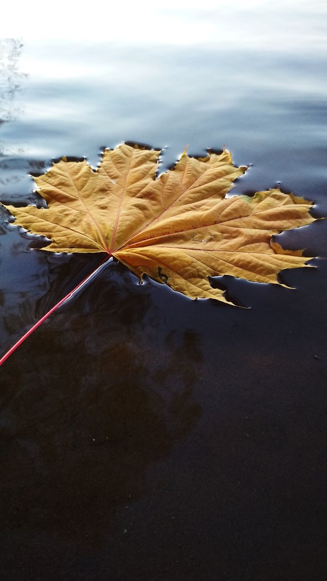 Autumn mood