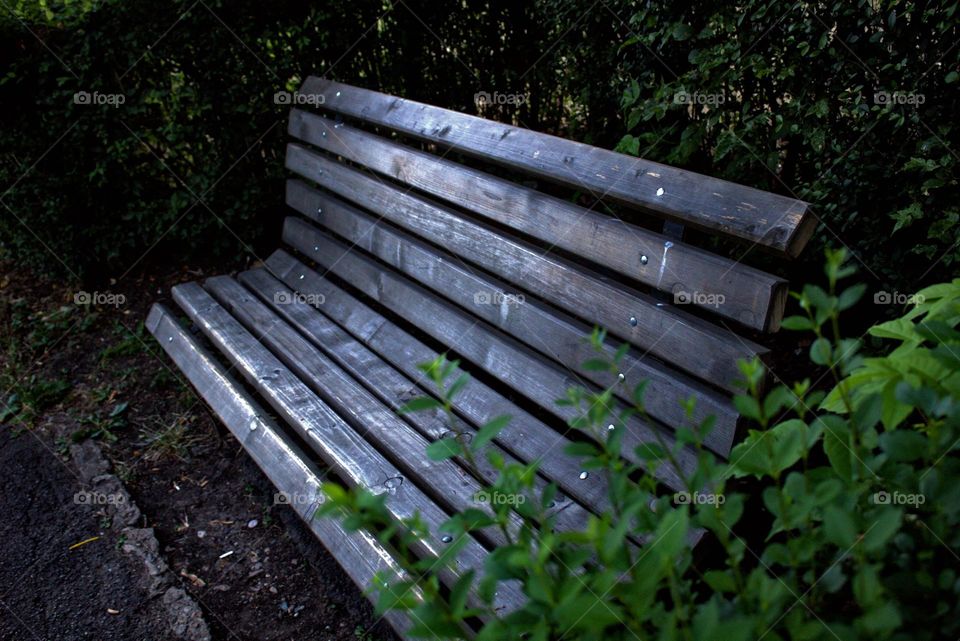 A lonely Bank surrounded by the colours of the bushes and the shadows of the sunset.