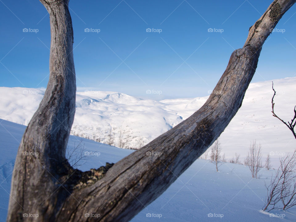 snow winter norway mountain by hslysne