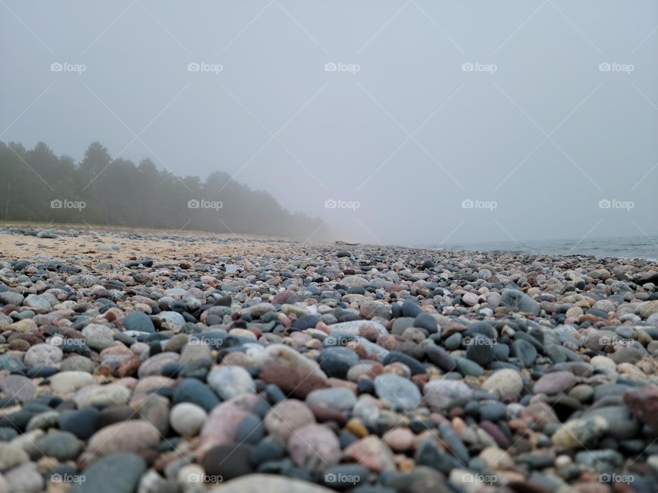 Foggy Shoreline