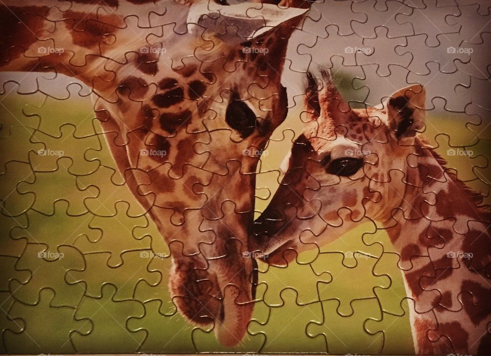 Picture of a puzzle. 