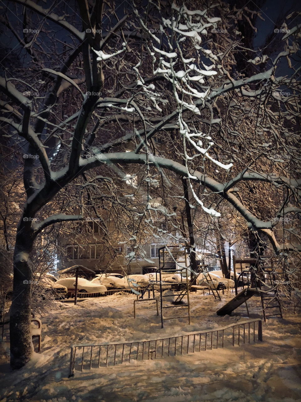 Since we've no place to go Let it snow, let it snow, let it snow ❄️
© F.Sinatra