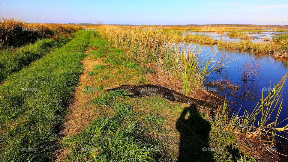 me and a gator