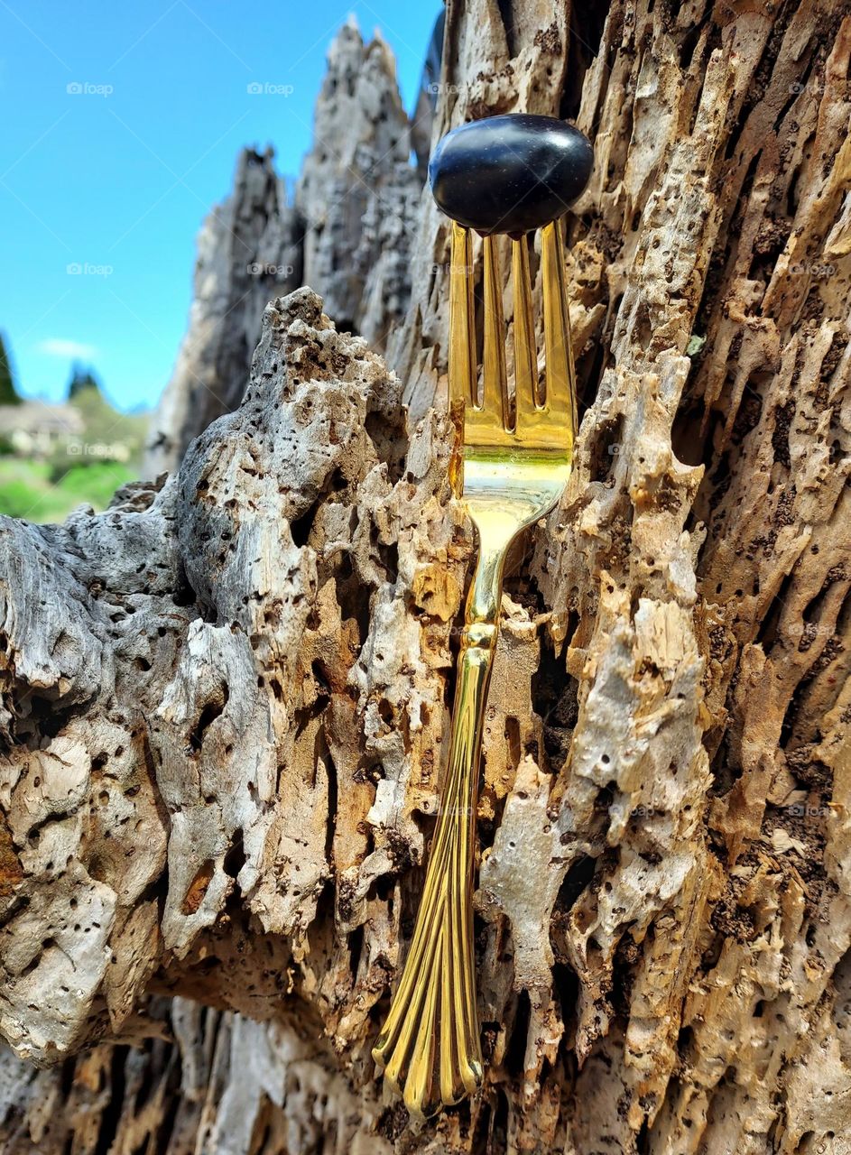 Golden fork, nature fork in the great outdoors