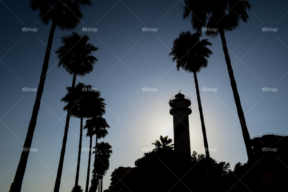 A silhouette of a lighthouse and palm trees in Marbella, Spain