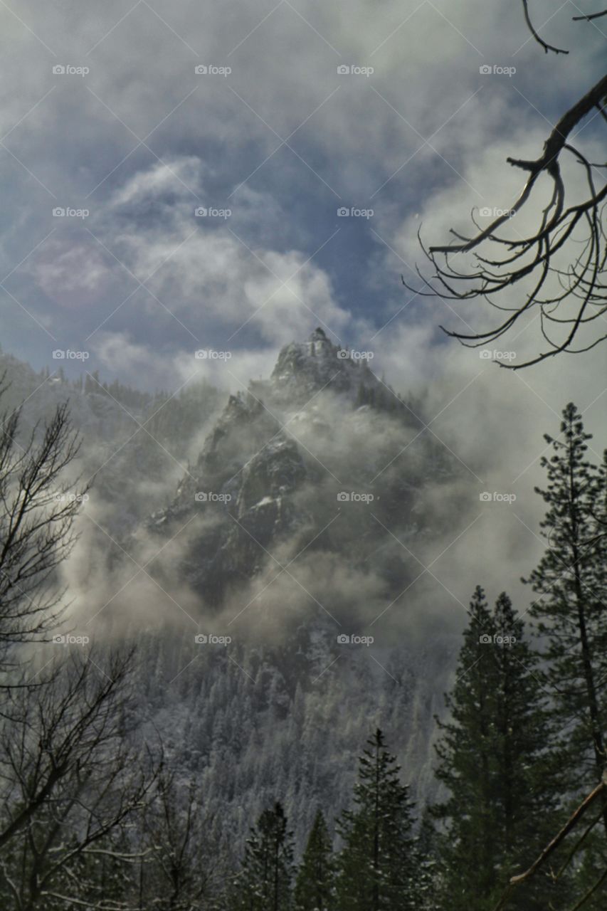 Yosemite morning fog