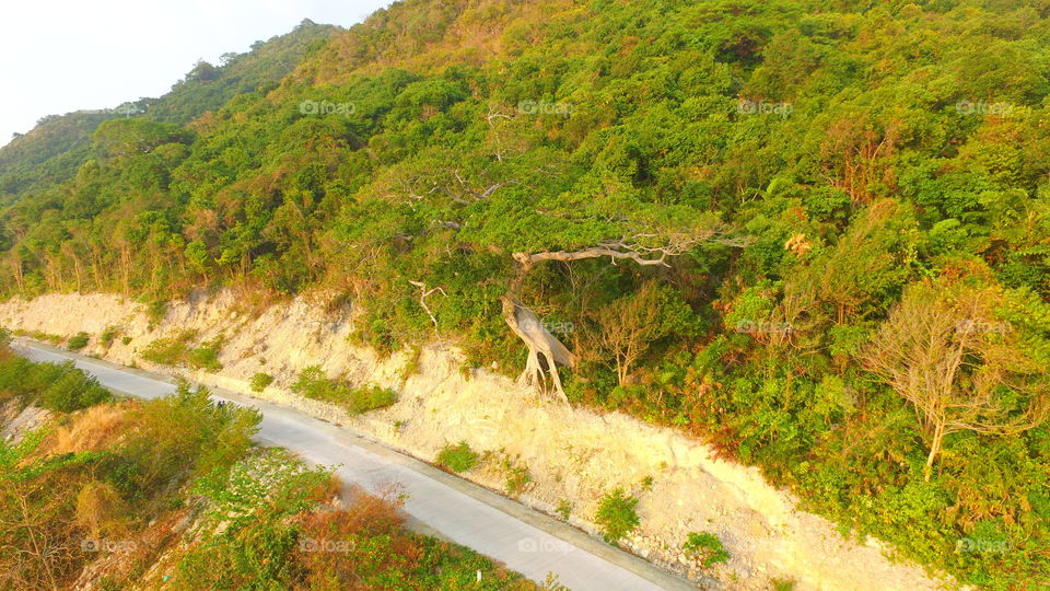 Nature, Travel, Landscape, Mountain, Wood