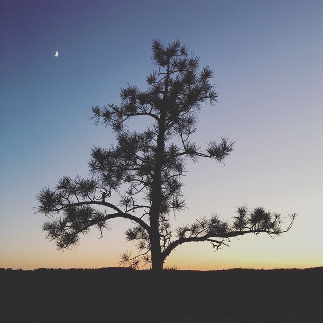 Look for the horizon