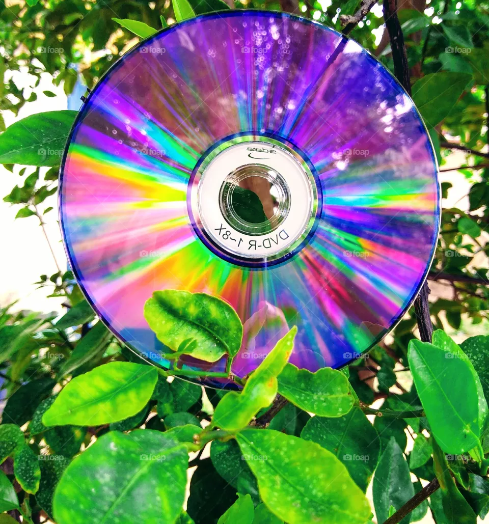 cd