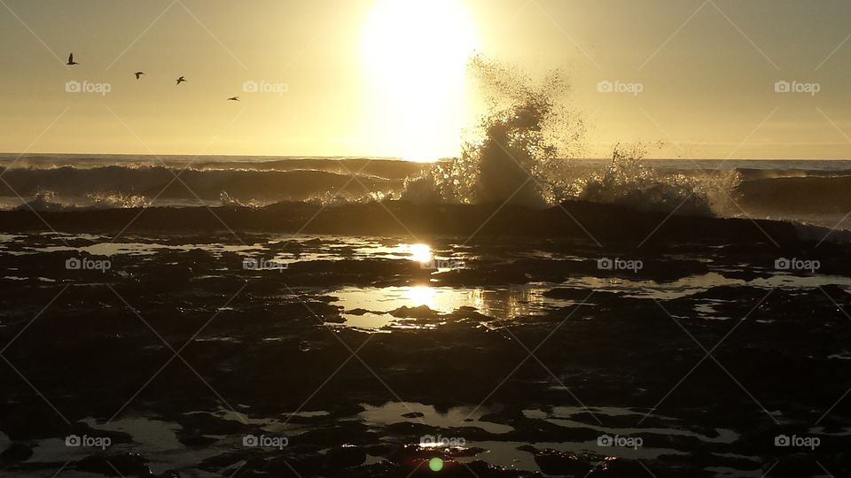 Backlit crashing wave at sunset