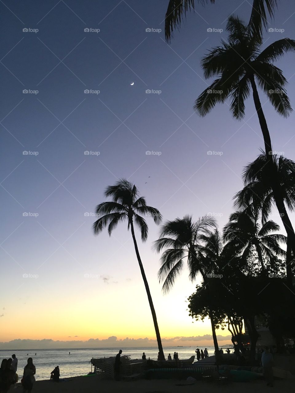 Awesome beaches. Hawaii 