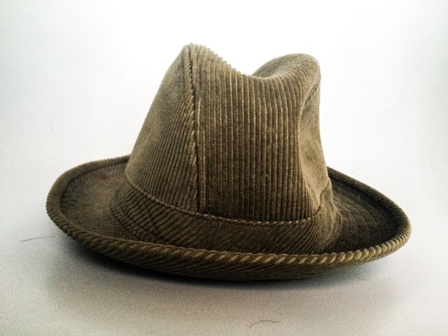 Mens hat fedora