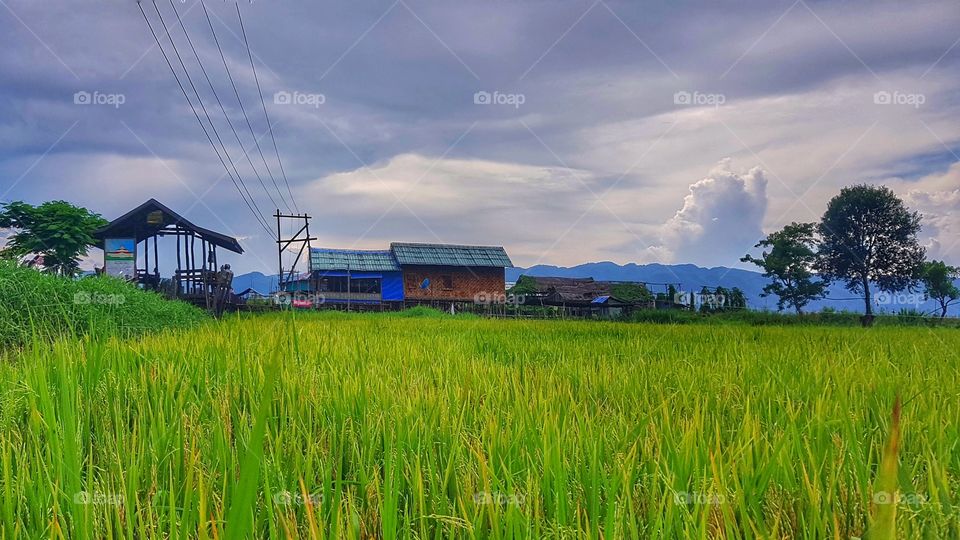 Away from urban ☺️☺️