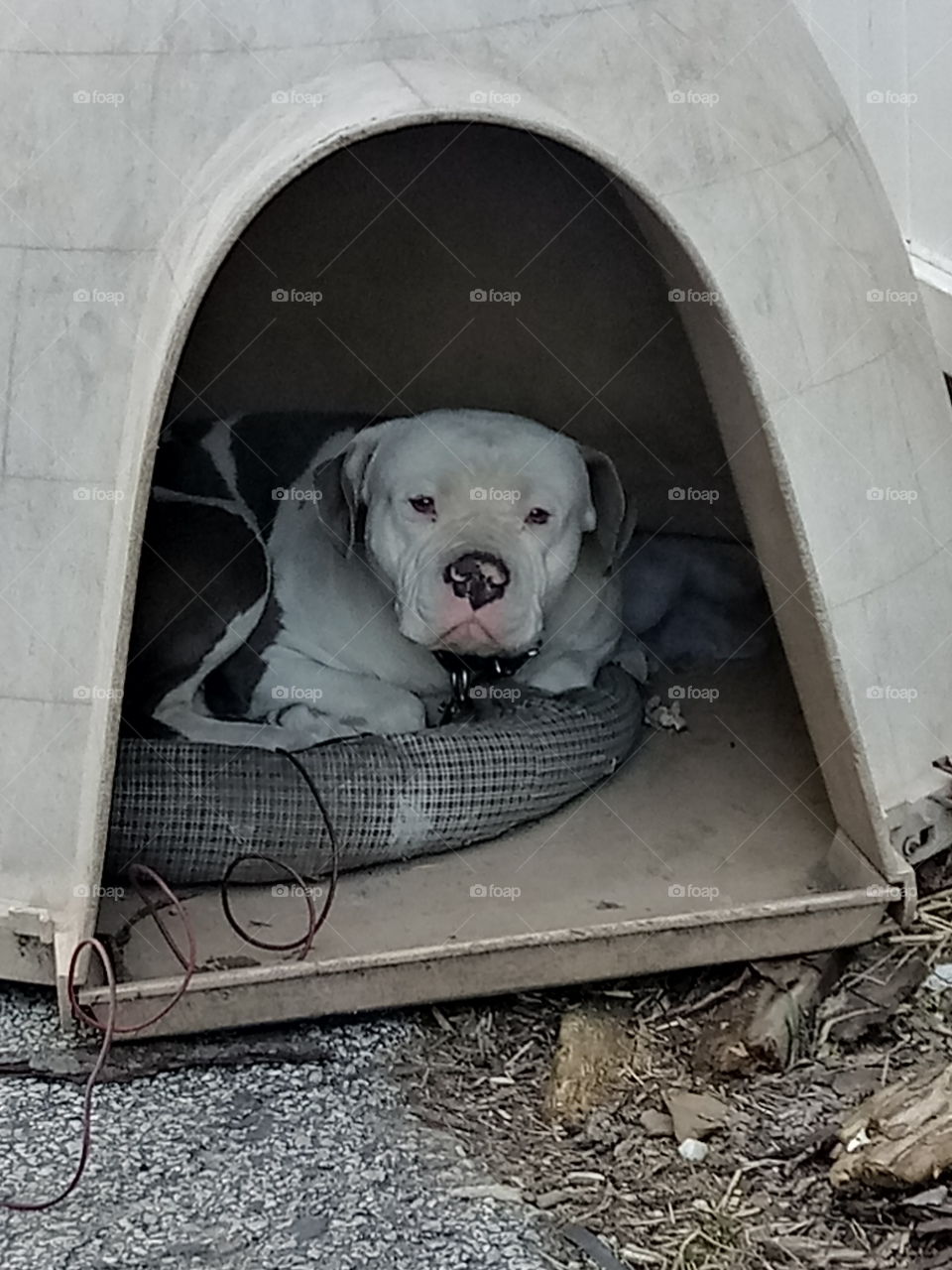 pit chillin in the spring air