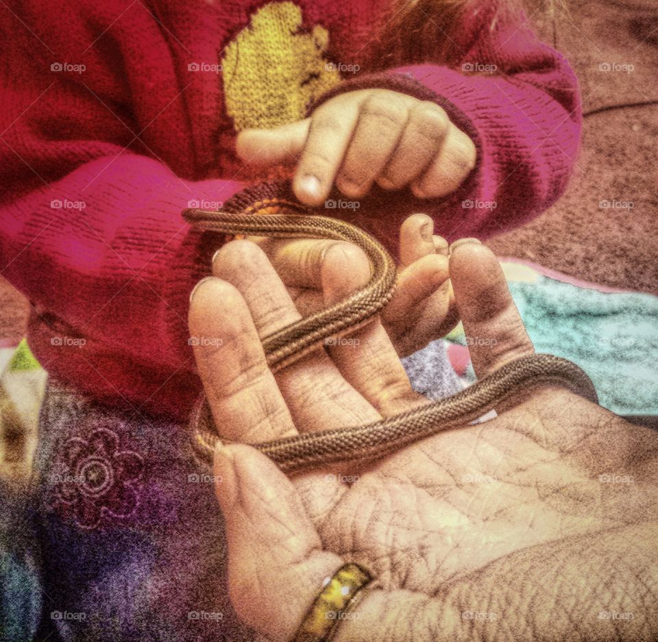 little garden snake friend