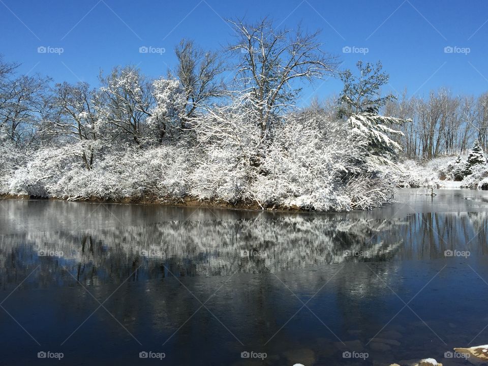 Winter Wonderland in November 
