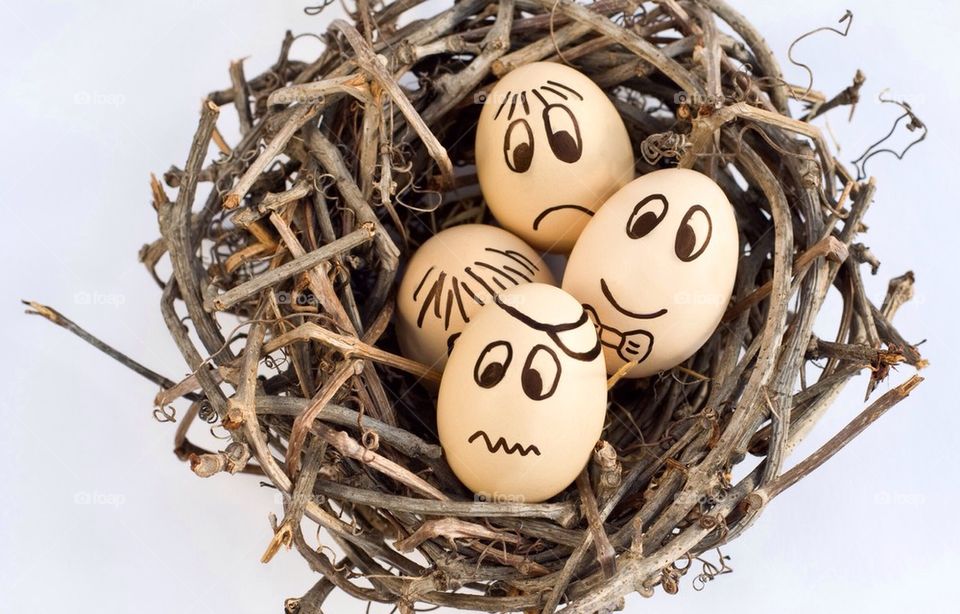 Smiling eggs on nest