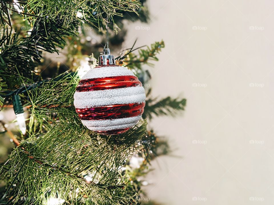 Red and White striped ornament hanging from a green Christmas tree with lights.