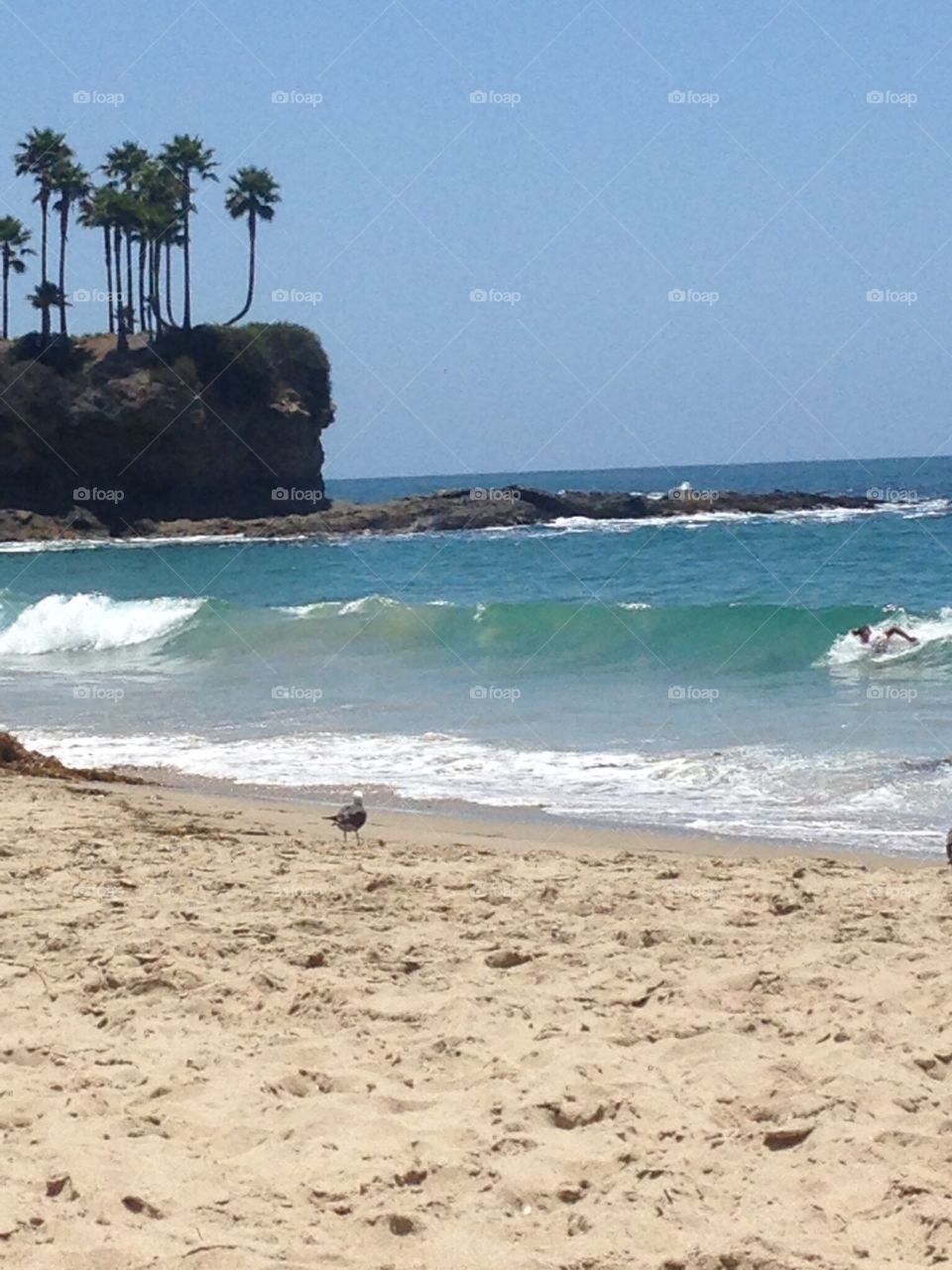 Body surfing and cliff jumping woo hoo 