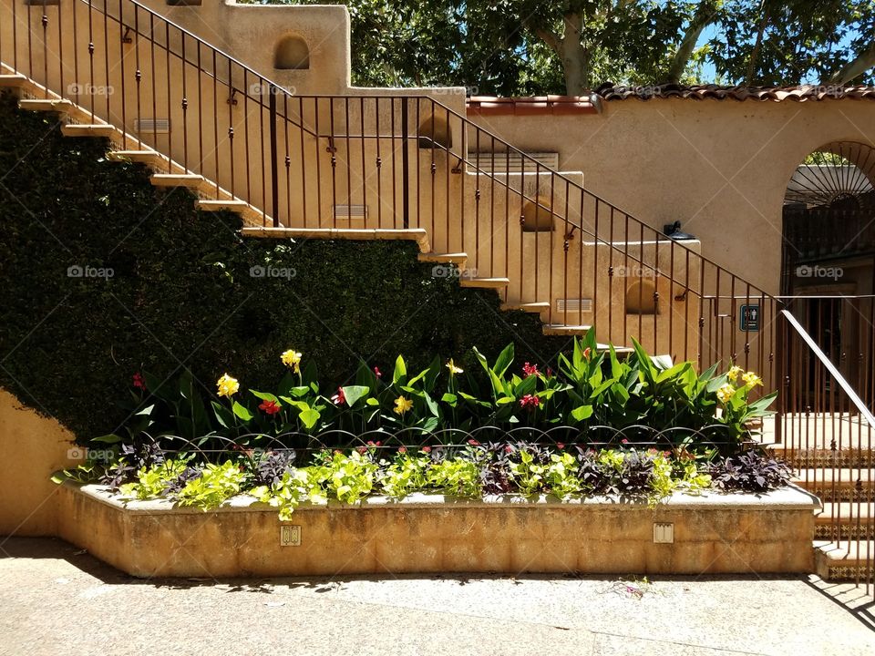Flowers and steps