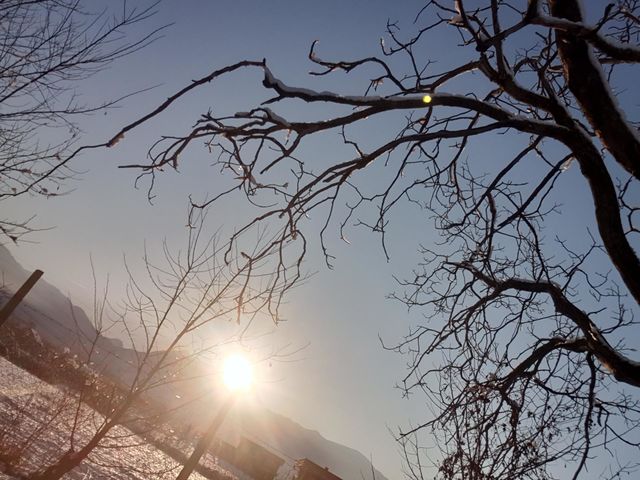 winter