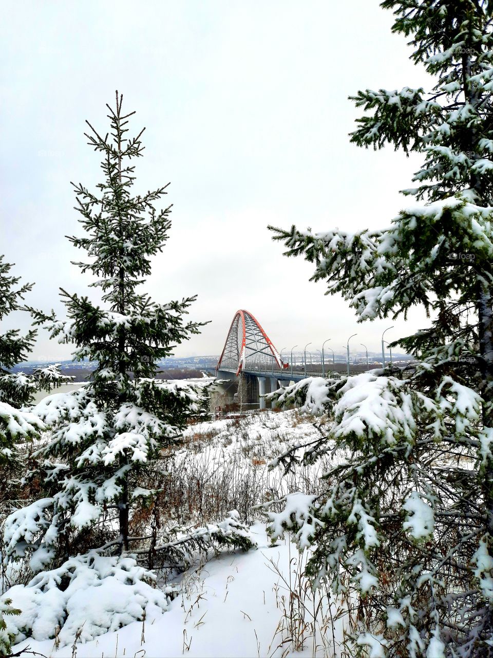 Winter.  Snow.  Christmas trees.  Bridge.