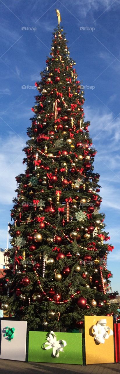 Christmas tree at Pier 39