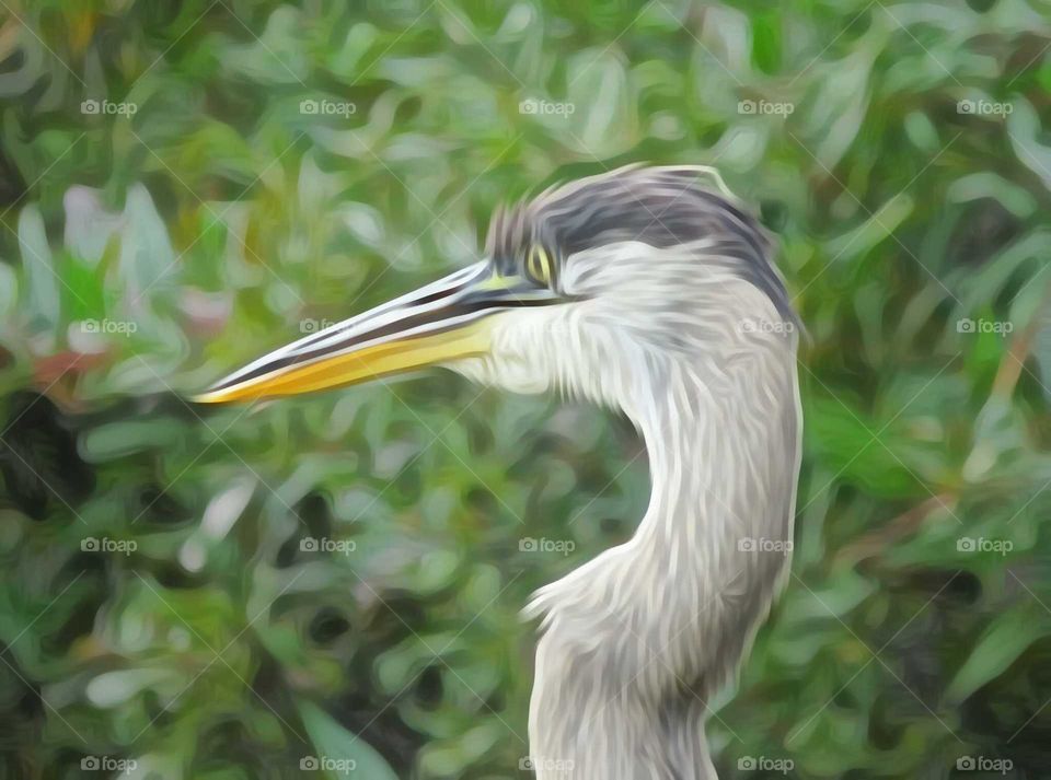 Blue Heron in Oil Effect