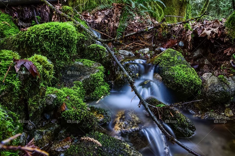 Waterfall in the forest, BC, Canada 
