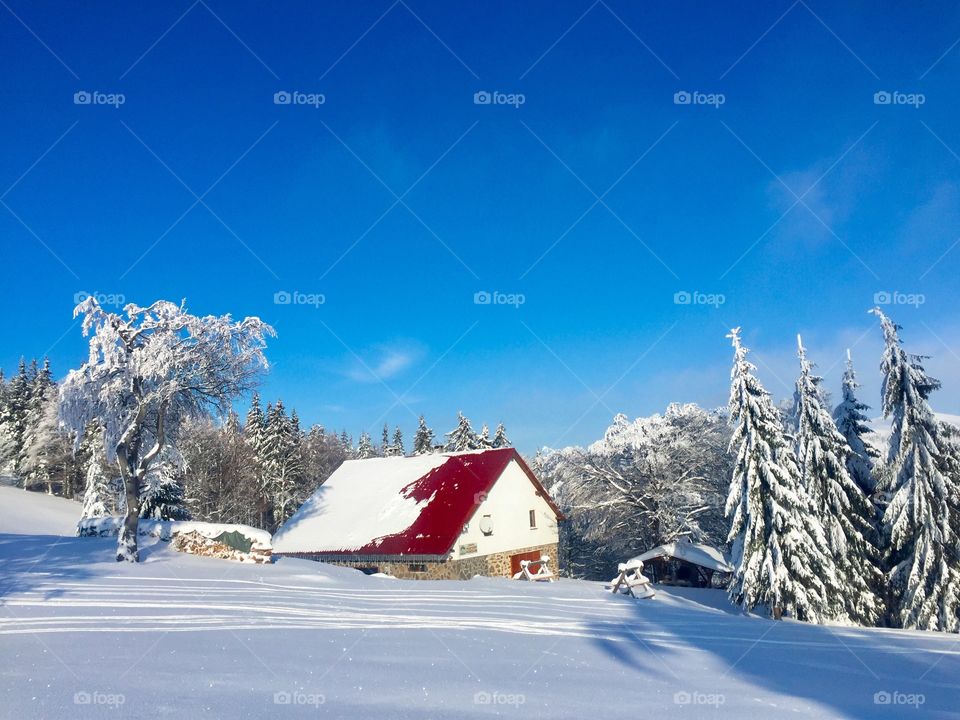 Remote house in the mountains surrounded by trees covered in snow on a bright sunny day