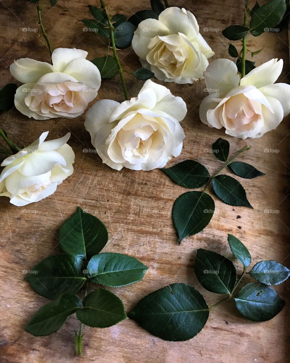 Beautiful white roses on a wooden table