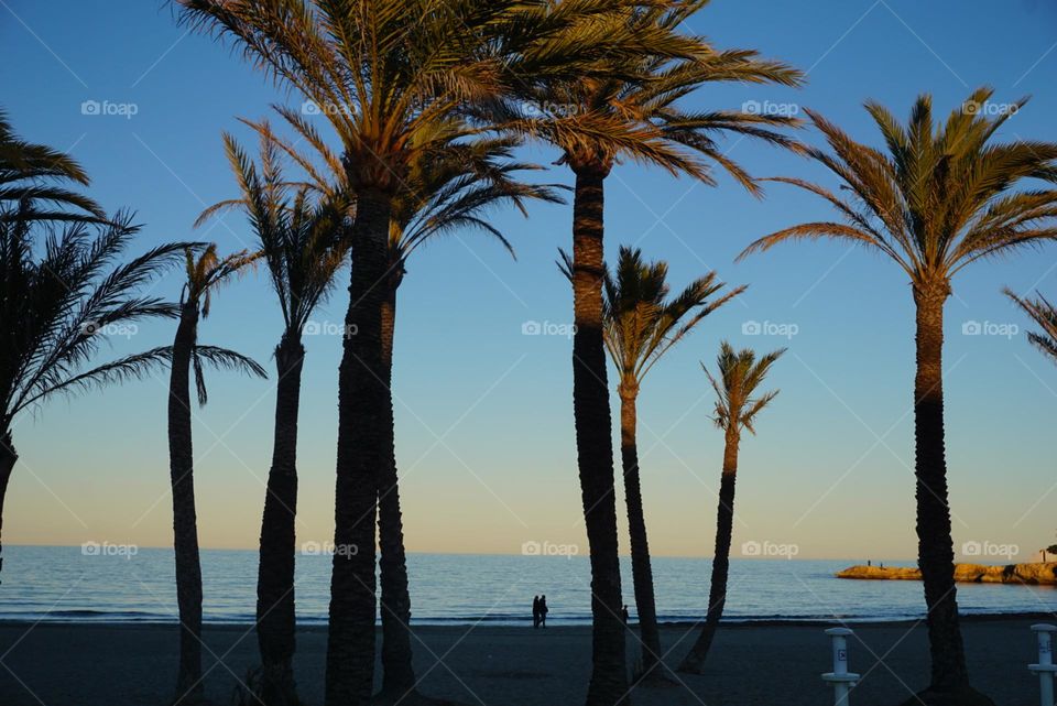 Beach#sunset#sea#palms#sky